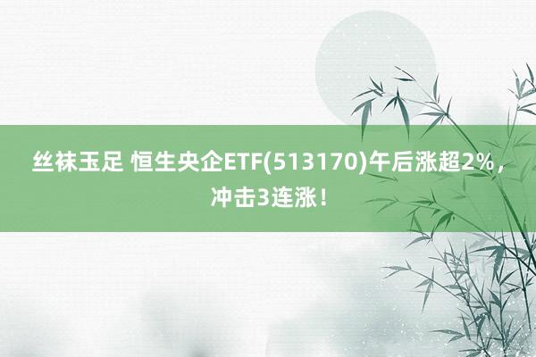 丝袜玉足 恒生央企ETF(513170)午后涨超2%，冲击3连涨！