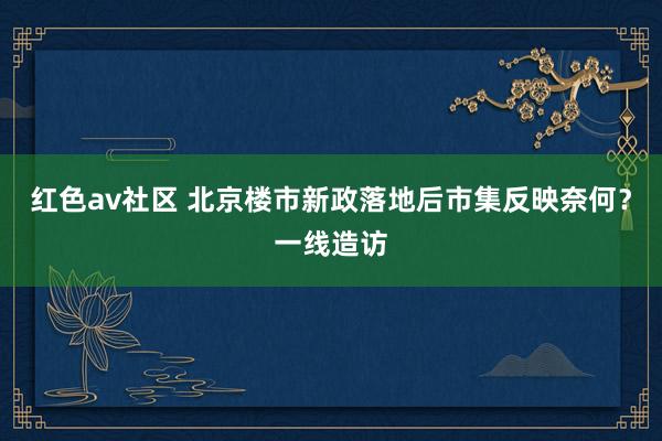 红色av社区 北京楼市新政落地后市集反映奈何？一线造访
