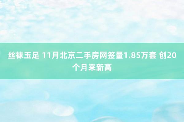 丝袜玉足 11月北京二手房网签量1.85万套 创20个月来新高