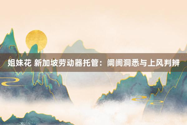 姐妹花 新加坡劳动器托管：阛阓洞悉与上风判辨