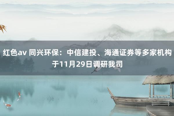 红色av 同兴环保：中信建投、海通证券等多家机构于11月29日调研我司