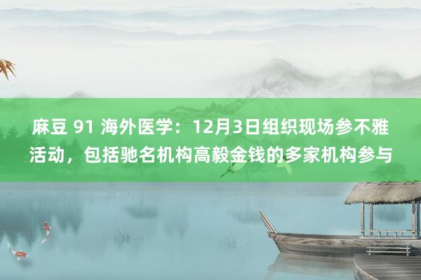 麻豆 91 海外医学：12月3日组织现场参不雅活动，包括驰名机构高毅金钱的多家机构参与