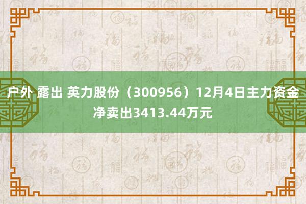 户外 露出 英力股份（300956）12月4日主力资金净卖出3413.44万元