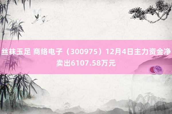 丝袜玉足 商络电子（300975）12月4日主力资金净卖出6107.58万元