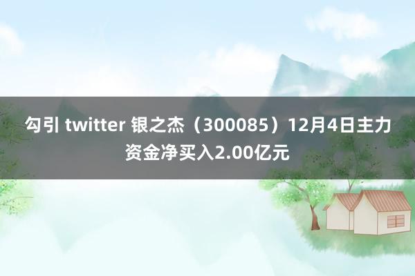 勾引 twitter 银之杰（300085）12月4日主力资金净买入2.00亿元