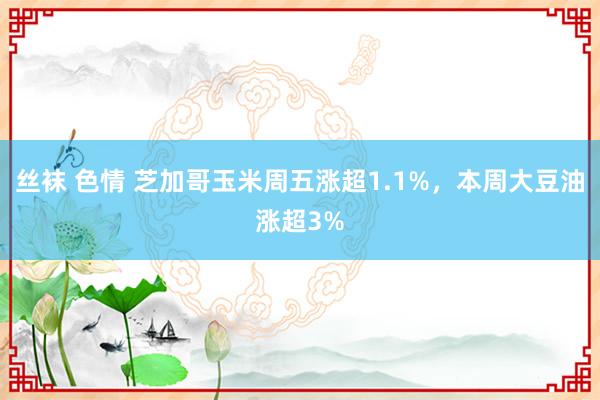 丝袜 色情 芝加哥玉米周五涨超1.1%,本周大豆油涨超3%
