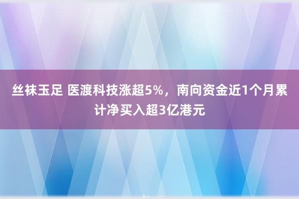 丝袜玉足 医渡科技涨超5%，南向资金近1个月累计净买入超3亿港元