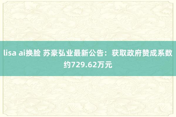 lisa ai换脸 苏豪弘业最新公告：获取政府赞成系数约729.62万元