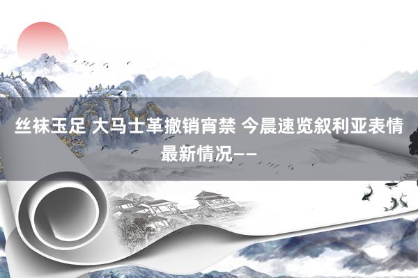 丝袜玉足 大马士革撤销宵禁 今晨速览叙利亚表情最新情况——