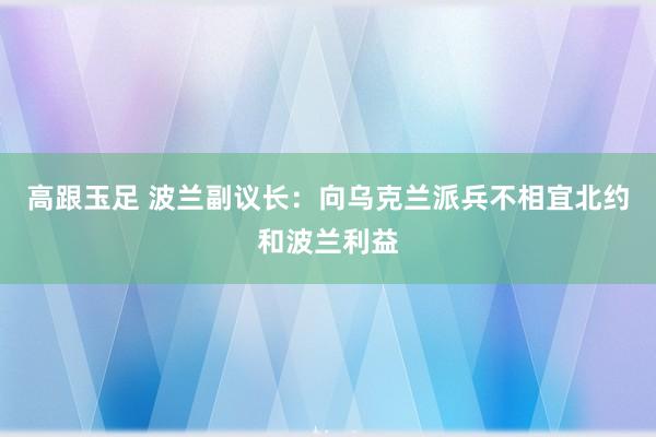 高跟玉足 波兰副议长：向乌克兰派兵不相宜北约和波兰利益