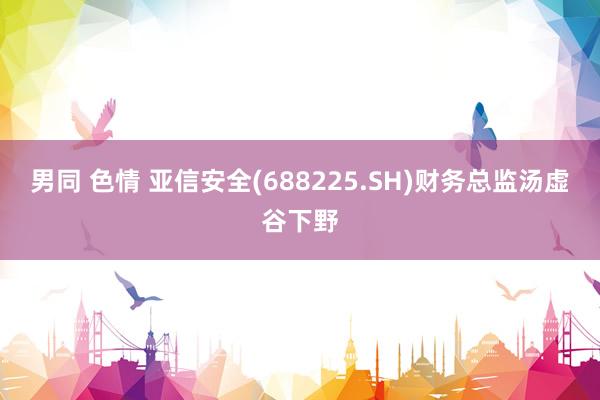 男同 色情 亚信安全(688225.SH)财务总监汤虚谷下野