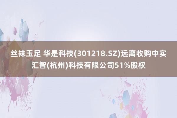 丝袜玉足 华是科技(301218.SZ)远离收购中实汇智(杭州)科技有限公司51%股权