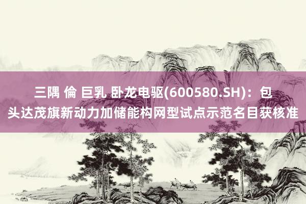三隅 倫 巨乳 卧龙电驱(600580.SH)：包头达茂旗新动力加储能构网型试点示范名目获核准