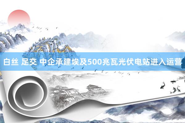 白丝 足交 中企承建埃及500兆瓦光伏电站进入运营