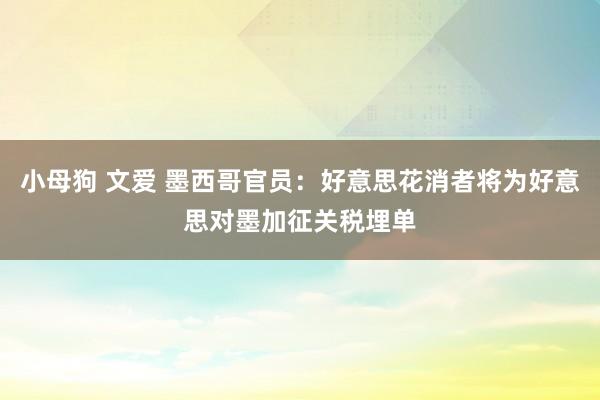 小母狗 文爱 墨西哥官员：好意思花消者将为好意思对墨加征关税埋单