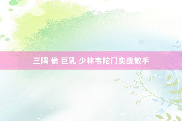 三隅 倫 巨乳 少林韦陀门实战散手