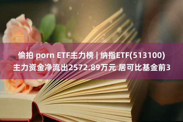偷拍 porn ETF主力榜 | 纳指ETF(513100)主力资金净流出2572.89万元 居可比基金前3