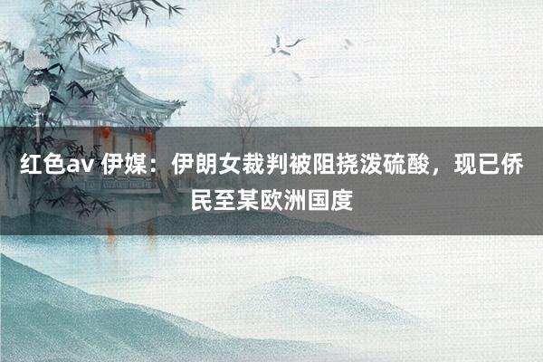 红色av 伊媒：伊朗女裁判被阻挠泼硫酸，现已侨民至某欧洲国度