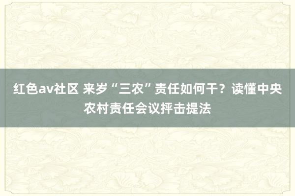 红色av社区 来岁“三农”责任如何干？读懂中央农村责任会议抨击提法