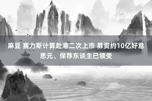 麻豆 赛力斯计算赴港二次上市 募资约10亿好意思元、保荐东谈主已领受