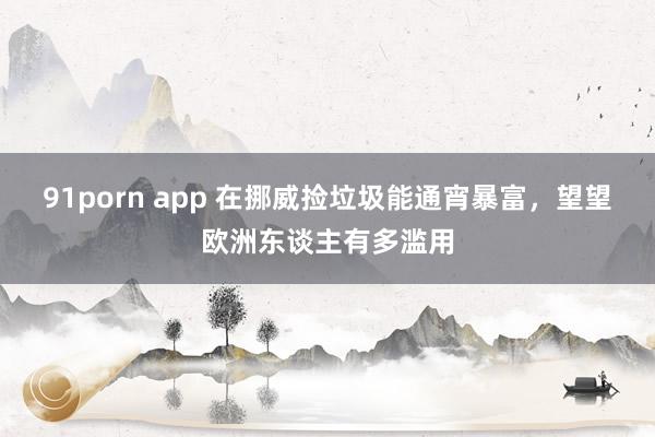 91porn app 在挪威捡垃圾能通宵暴富，望望欧洲东谈主有多滥用
