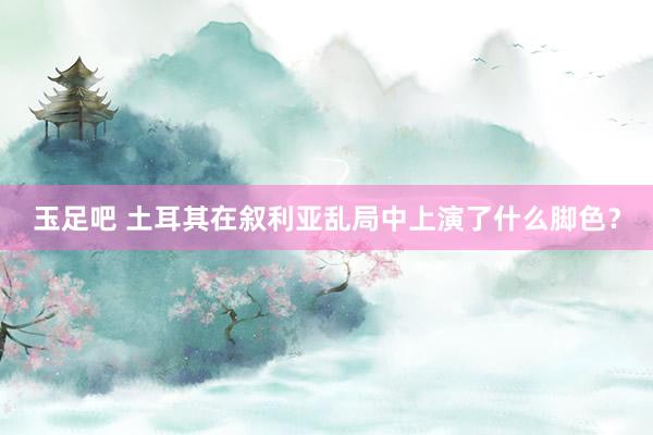玉足吧 土耳其在叙利亚乱局中上演了什么脚色？