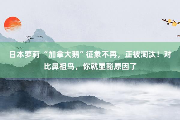 日本萝莉 “加拿大鹅”征象不再，正被淘汰！对比鼻祖鸟，你就显豁原因了