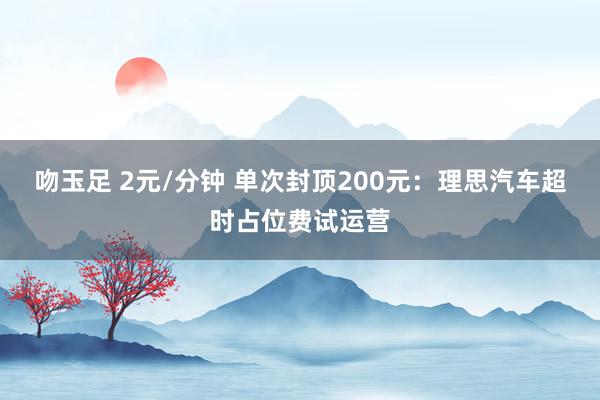 吻玉足 2元/分钟 单次封顶200元：理思汽车超时占位费试运营