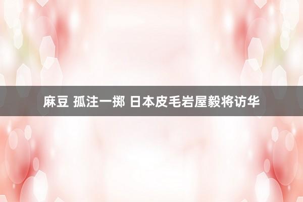 麻豆 孤注一掷 日本皮毛岩屋毅将访华