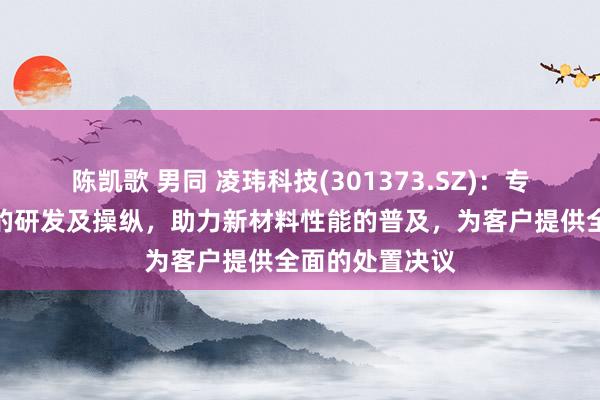 陈凯歌 男同 凌玮科技(301373.SZ)：专注于二氧化硅的研发及操纵，助力新材料性能的普及，为客户提供全面的处置决议