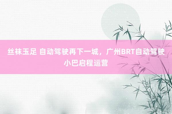 丝袜玉足 自动驾驶再下一城，广州BRT自动驾驶小巴启程运营