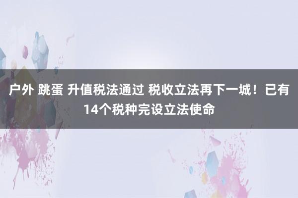 户外 跳蛋 升值税法通过 税收立法再下一城！已有14个税种完设立法使命