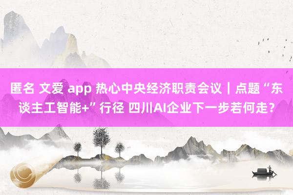 匿名 文爱 app 热心中央经济职责会议｜点题“东谈主工智能+”行径 四川AI企业下一步若何走？