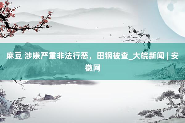 麻豆 涉嫌严重非法行恶，田钢被查_大皖新闻 | 安徽网