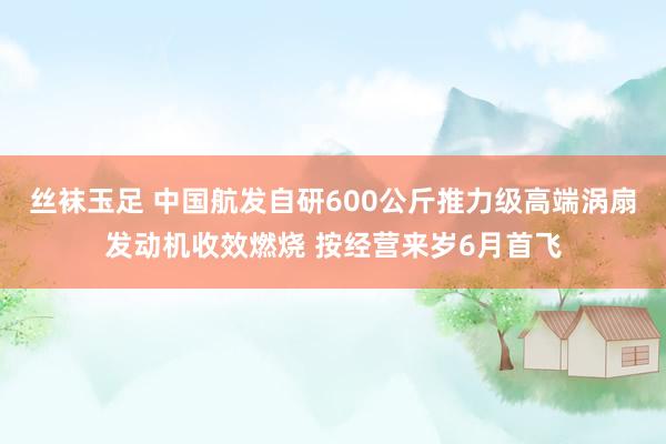 丝袜玉足 中国航发自研600公斤推力级高端涡扇发动机收效燃烧 按经营来岁6月首飞