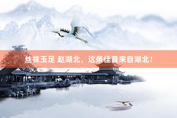 丝袜玉足 赵湖北，这条佳音来自湖北！
