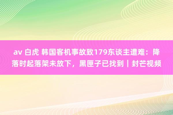 av 白虎 韩国客机事故致179东谈主遭难：降落时起落架未放下，黑匣子已找到｜封芒视频