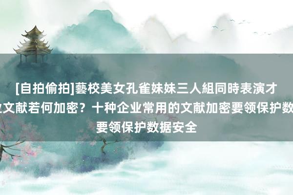 [自拍偷拍]藝校美女孔雀妹妹三人組同時表演才藝 企业文献若何加密？十种企业常用的文献加密要领保护数据安全
