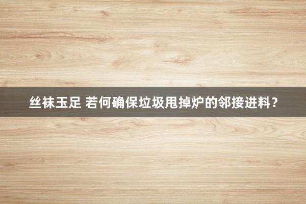 丝袜玉足 若何确保垃圾甩掉炉的邻接进料？