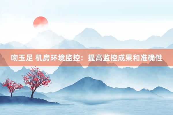 吻玉足 机房环境监控：提高监控成果和准确性