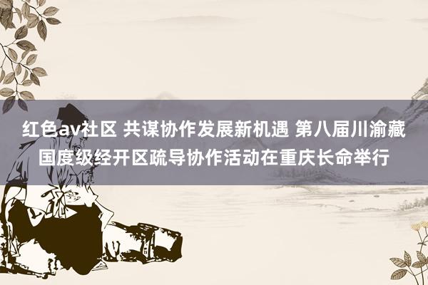 红色av社区 共谋协作发展新机遇 第八届川渝藏国度级经开区疏导协作活动在重庆长命举行