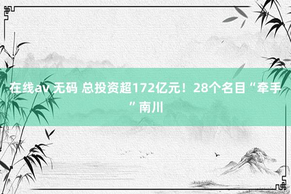 在线av 无码 总投资超172亿元！28个名目“牵手”南川