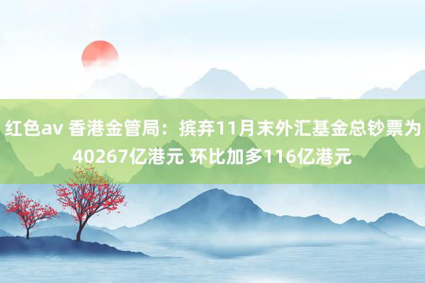 红色av 香港金管局：摈弃11月末外汇基金总钞票为40267亿港元 环比加多116亿港元