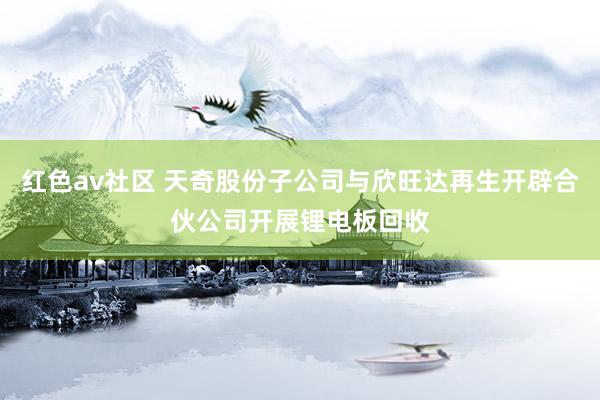 红色av社区 天奇股份子公司与欣旺达再生开辟合伙公司开展锂电板回收