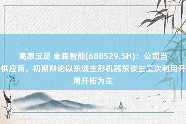 高跟玉足 豪森智能(688529.SH)：公司当作建树供应商，初期辩论以东谈主形机器东谈主二次利用开拓为主