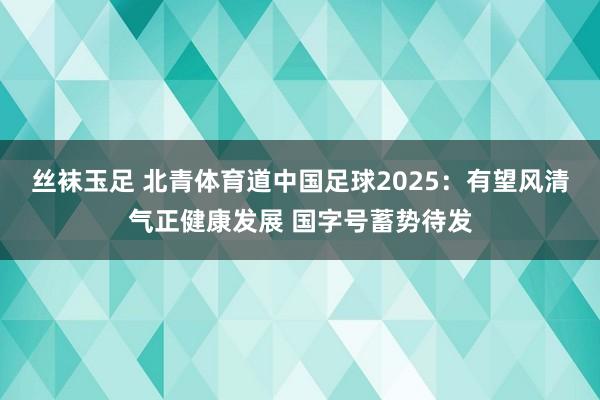 丝袜玉足 北青体育道中国足球2025：有望风清气正健康发展 国字号蓄势待发