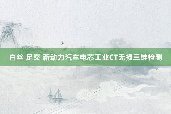 白丝 足交 新动力汽车电芯工业CT无损三维检测