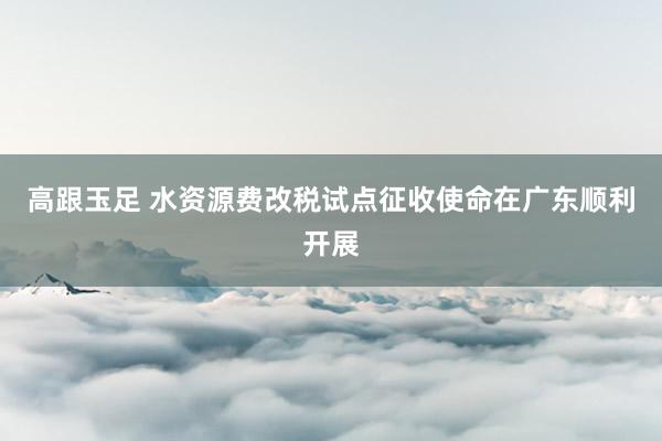 高跟玉足 水资源费改税试点征收使命在广东顺利开展