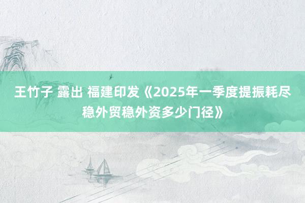 王竹子 露出 福建印发《2025年一季度提振耗尽稳外贸稳外资多少门径》