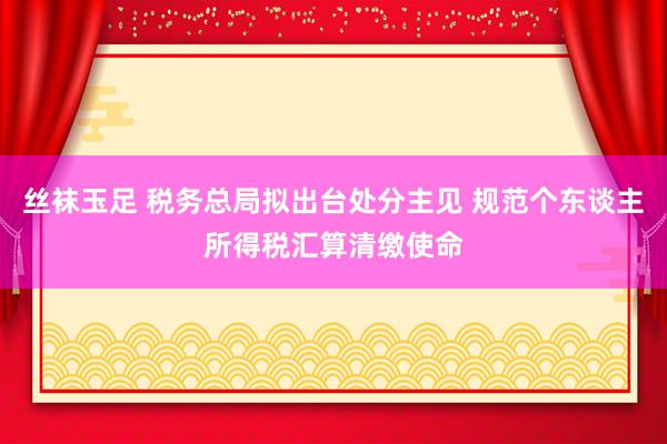 丝袜玉足 税务总局拟出台处分主见 规范个东谈主所得税汇算清缴使命
